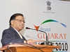 vibrant-gujarat-2010